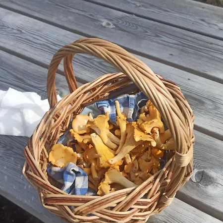 Near Langfoss Markhus